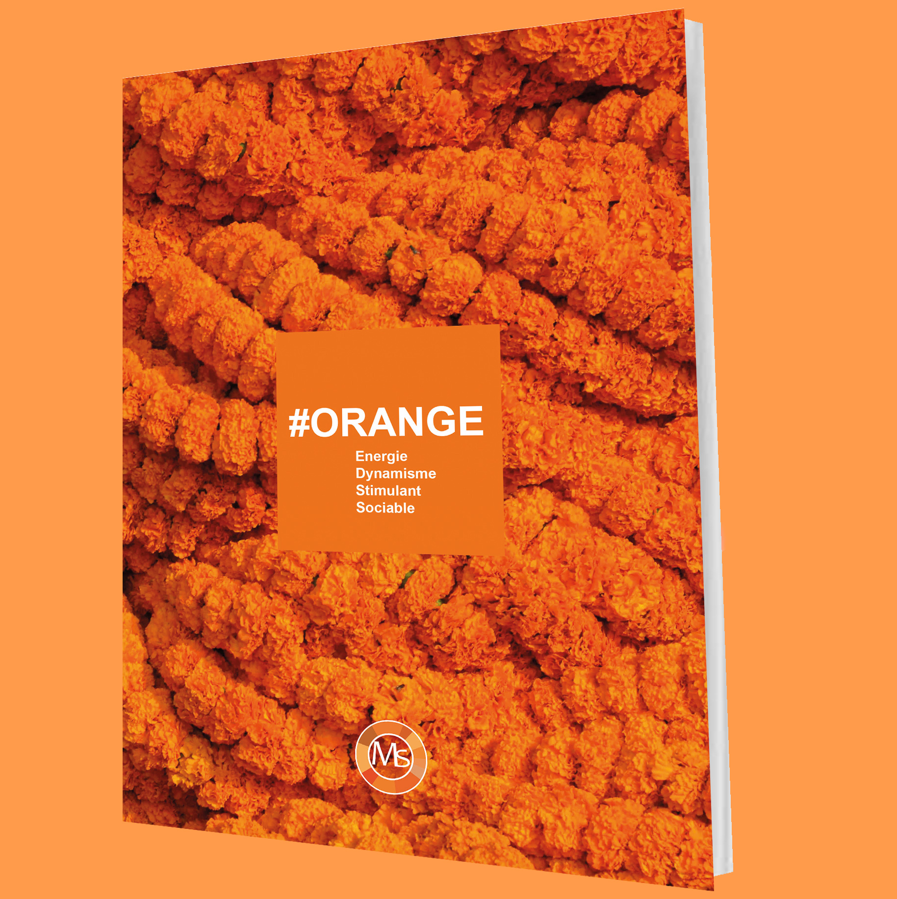 catalogue-orange-colordecotherapy