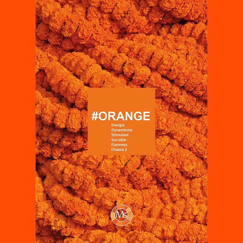 Couverture-Catalogue-Orange-COLORdecoTHERAPY Couverture-Catalogue-Orange-colordecotherapy