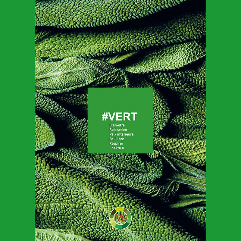 Couverture-Catalogue-Vert-COLORdecoTHERAPY Couverture-Catalogue-Vert-colordecotherapy